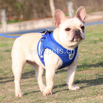 Arnés de malla para perros de nailon